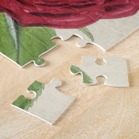Oude botanische Comte de Falloux Roos Legpuzzel (Zijkant)