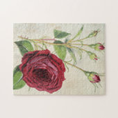 Oude botanische Comte de Falloux Roos Legpuzzel (Horizontaal)