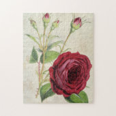 Oude botanische Comte de Falloux Roos Legpuzzel (Verticaal)
