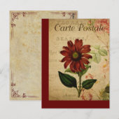 Oude botanische Franse ansichtkaart Echinacea Briefkaart (Voorkant / Achterkant)