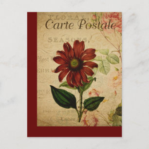 Oude botanische Franse ansichtkaart Echinacea Briefkaart