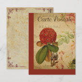 Oude botanische Franse ansichtkaart Rhododendron Briefkaart (Voorkant / Achterkant)