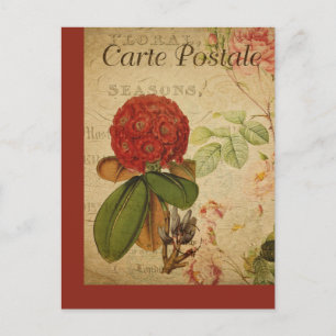 Oude botanische Franse ansichtkaart Rhododendron Briefkaart