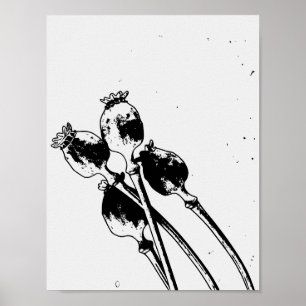 Oude botanische klaproos zaaddozen Linocut schets Poster