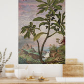 Oude botanische kunst Spurge Laurel Poster (Keuken)