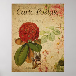 Oude botanische poster - Rhododenron