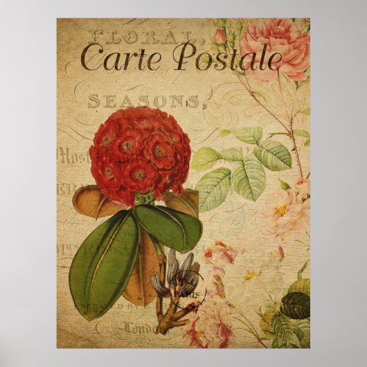 Oude botanische poster - Rhododenron (Voorkant)