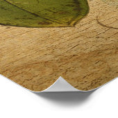 Oude botanische poster - Rhododenron (Hoek)