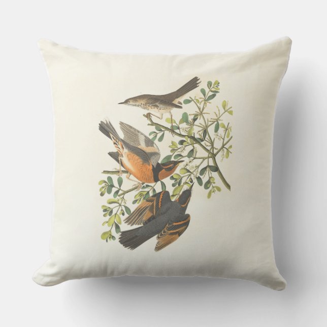 Oude botanische vogels illustratie werp kussen (Voorkant)
