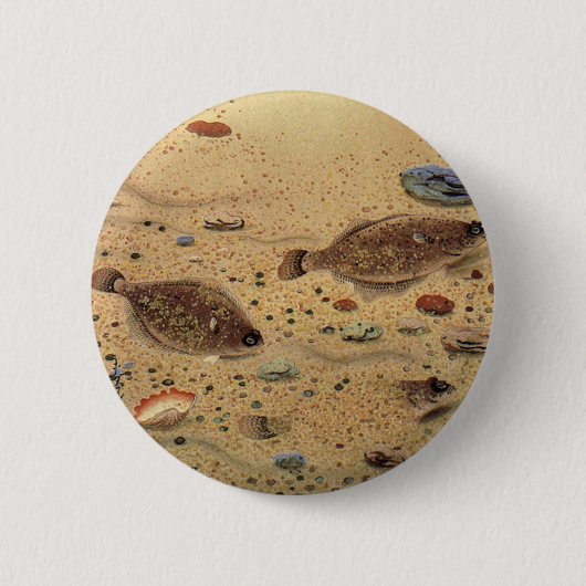 Oude botten, mariene oceaanleven platvis ronde button 5,7 cm (Voorkant)
