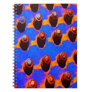Oude bouten notitieboek