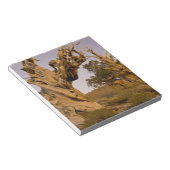Oude Bristlecone-bos, Witte Bergen, CA Notitieblok (Schuin)