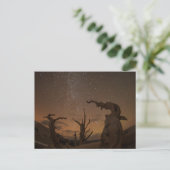 Oude Bristlecone Pine Forest | Californië Briefkaart (Staand voorkant)