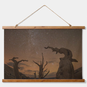 Oude Bristlecone Pine Forest Californië Hangend Wandkleed