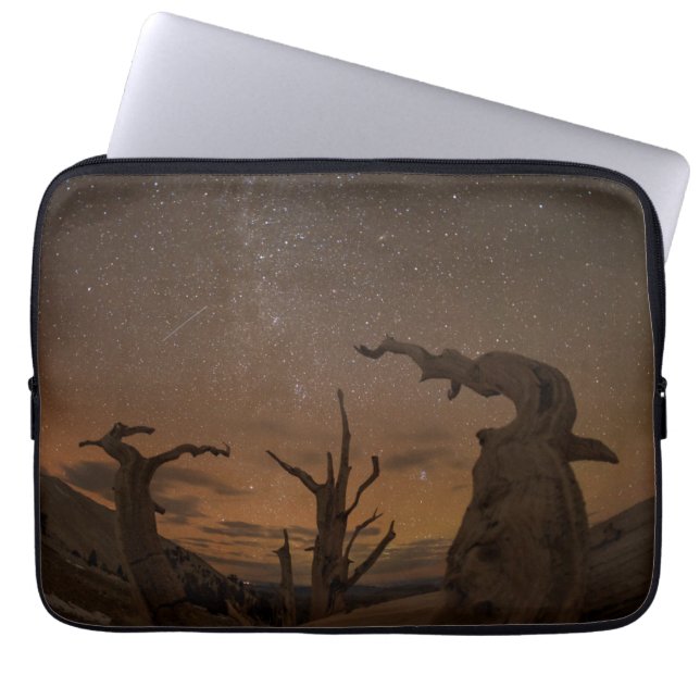 Oude Bristlecone Pine Forest | Californië Laptop Sleeve (Voorkant)