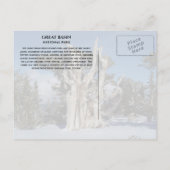 Oude Bristlecone Pine, Winter, Great Basin NP Briefkaart (Achterkant)