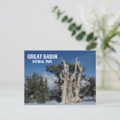 Oude Bristlecone Pine, Winter, Great Basin NP Briefkaart (Staand voorkant)