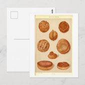 Oude Broden uit Balkanlanden Briefkaart (Voorkant / Achterkant)