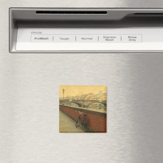 Oude brug in Florence, Italië.  foto Magneet (Insitu (Vaatwasser))