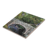OUDE BRUG OVER RIVIER TEGELTJE (Zijkant)