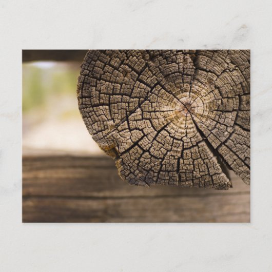 Oude Cabin Wood Textures Briefkaart (Voorkant)
