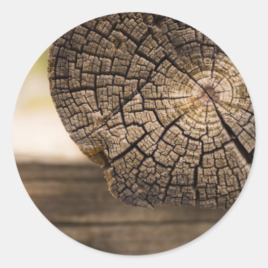 Oude Cabin Wood Textures Ronde Sticker (Voorkant)