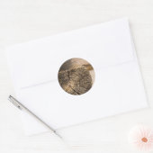 Oude cabine texturen ronde sticker (Envelop)