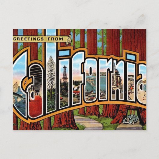 Oude Californische Reuzenbomen Briefkaart (Voorkant)