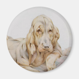Oude charmante bloedhonden, puppy honden door EJ D Magneet
