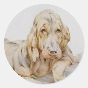 Oude charmante Bloodhounds, Puppies-honden door EJ Ronde Sticker
