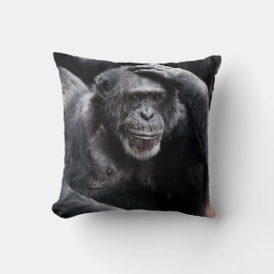 Oude Chimpansee goot kussens
