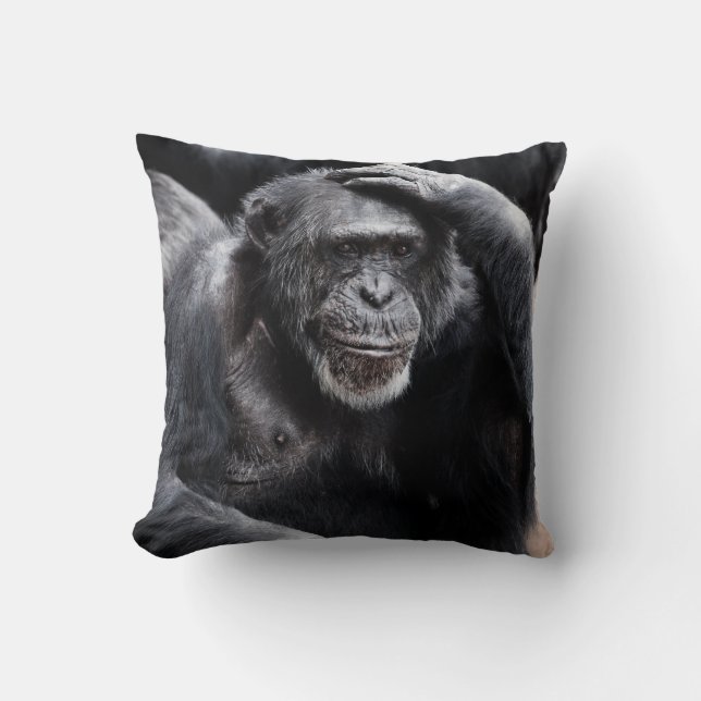 Oude Chimpansee goot kussens (Voorkant)