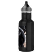 Oude chimpansee waterfles  (Rechts)