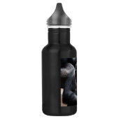 Oude chimpansee waterfles  (Links)