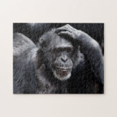 Oude Chimpansefotopuzzel Legpuzzel (Horizontaal)