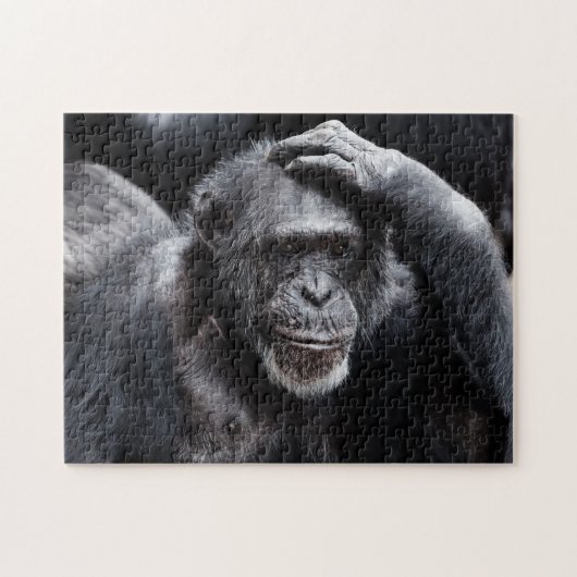 Oude Chimpansefotopuzzel Legpuzzel (Horizontaal)