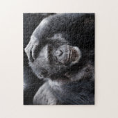 Oude Chimpansefotopuzzel Legpuzzel (Verticaal)