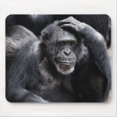 Oude Chimpansemousepad Muismat (Voorkant)