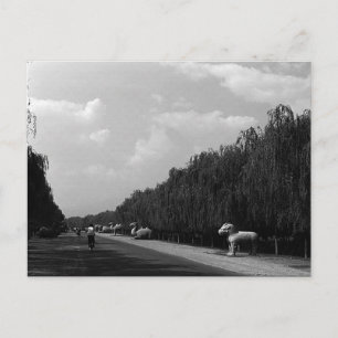 Oude Chinese Pekin mooie laan ming tombs Briefkaart