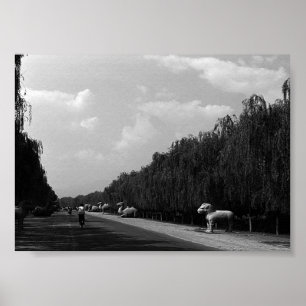 Oude Chinese Pekin mooie laan ming tombs Poster