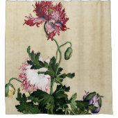 Oude Chinese Rode Klaproos Botanische Kunst Douchegordijn (Voorkant)