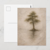 Oude Cipres | Landschapskunst | Briefkaart (Voorkant / Achterkant)