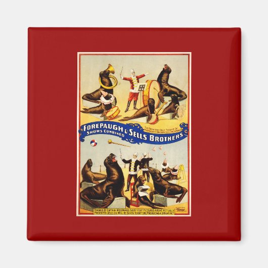 Oude circus - Zeeleeuwen en zeehonden Magneet (Voorkant)