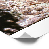 Oude Cliff Dwellers Poster (Hoek)