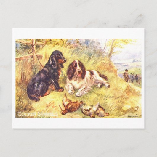 Oude Cocker Spaniels Briefkaart (Voorkant)