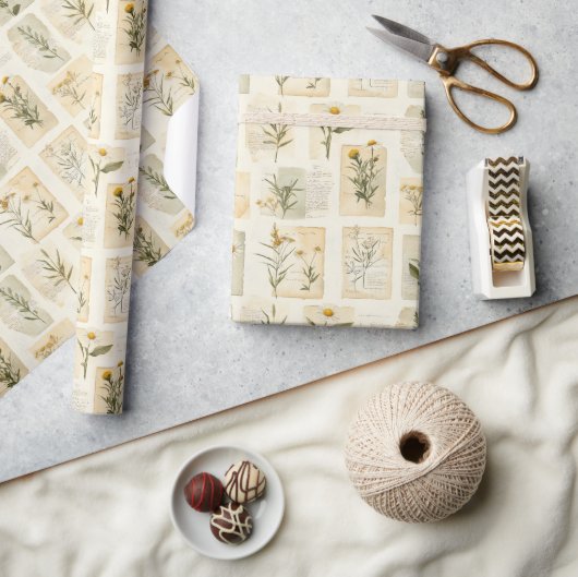 Oude collage van het madeliefjesherbarium cadeaupapier (Crafts)