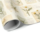 Oude collage van het madeliefjesherbarium cadeaupapier (Rol Hoek)