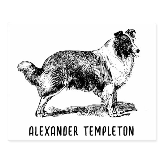Oude Collie Hond Tekening Naam Rubberstempel (Afrduk)