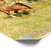 Oude conceptpaarden afdrukken poster (Hoek)