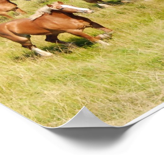 Oude conceptpaarden afdrukken poster (Hoek)